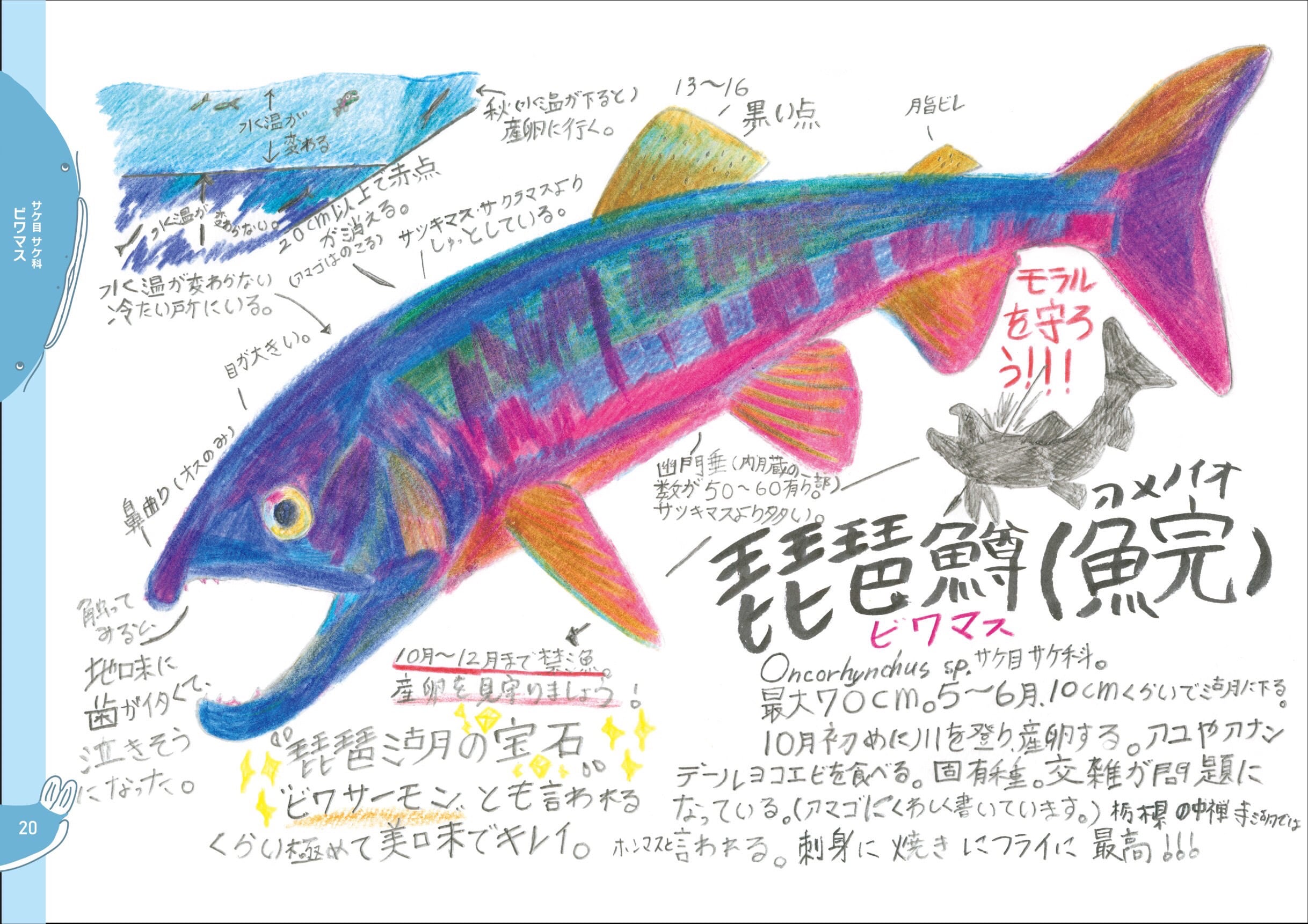 はじめてのびわこの魚 | 丘峰・能美舎
