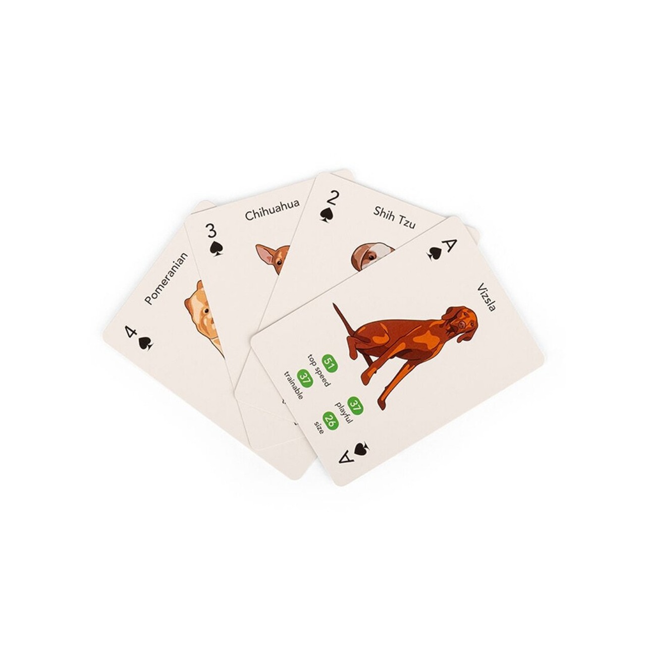Paws & Play Playing Cards
