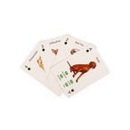 Paws & Play Playing Cards
