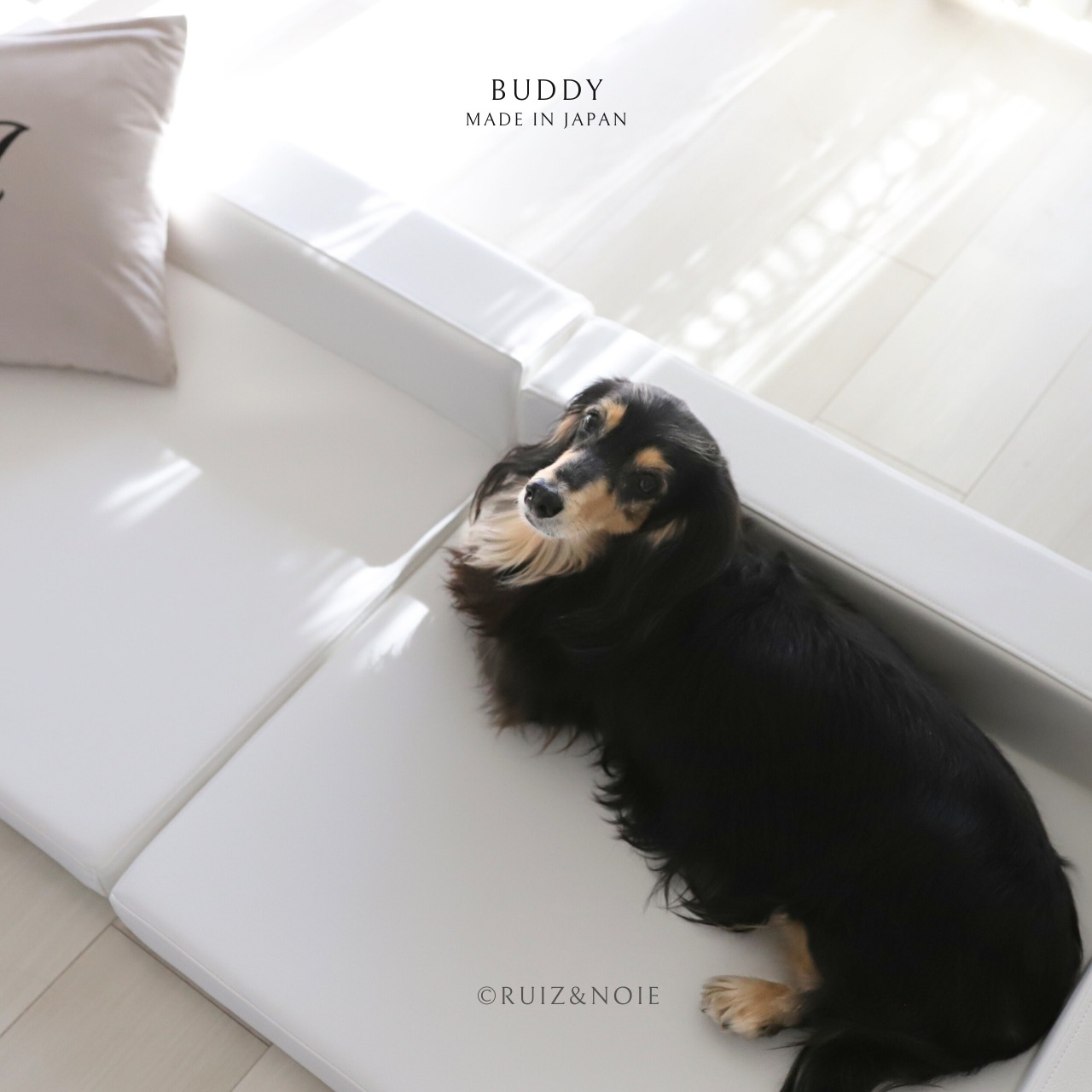 BUDDY DOG&CAT BED  WHITE　