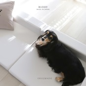 BUDDY DOG&CAT BED  WHITE　