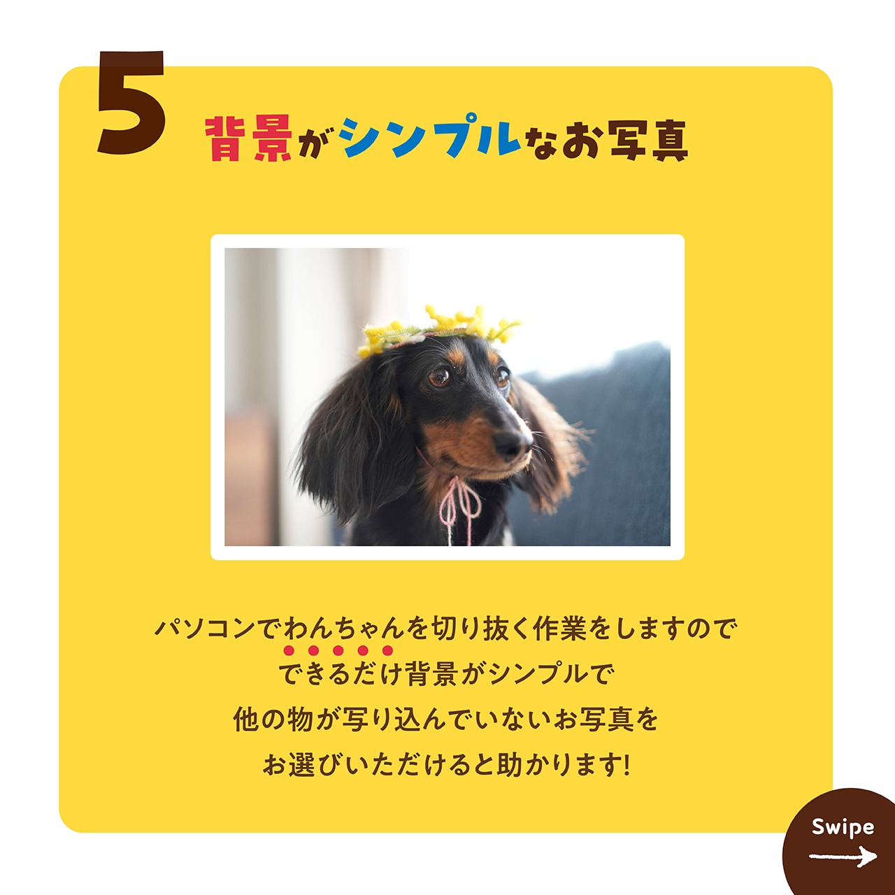 お写真の選び方
