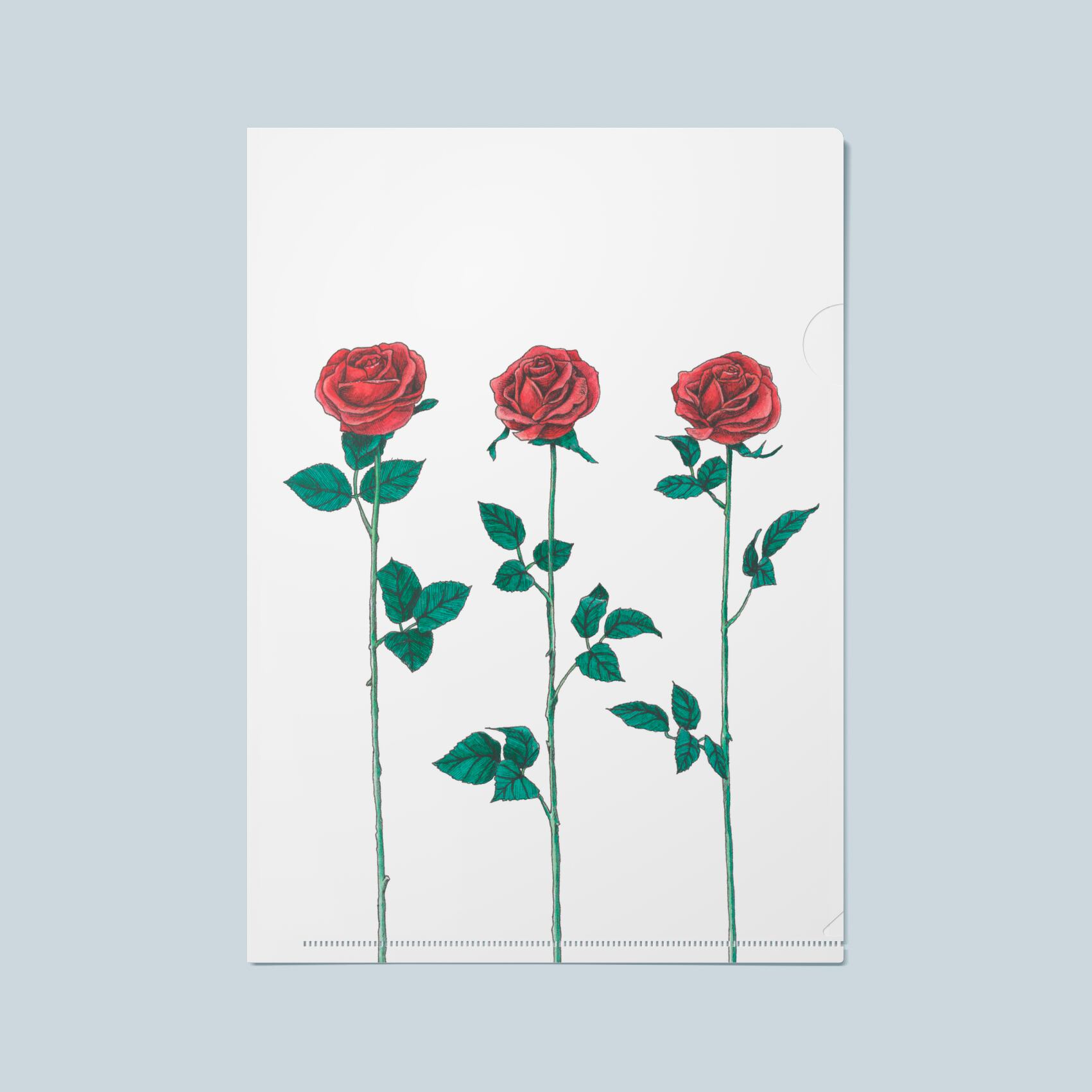 クリアファイル / clearfile | marimaeda