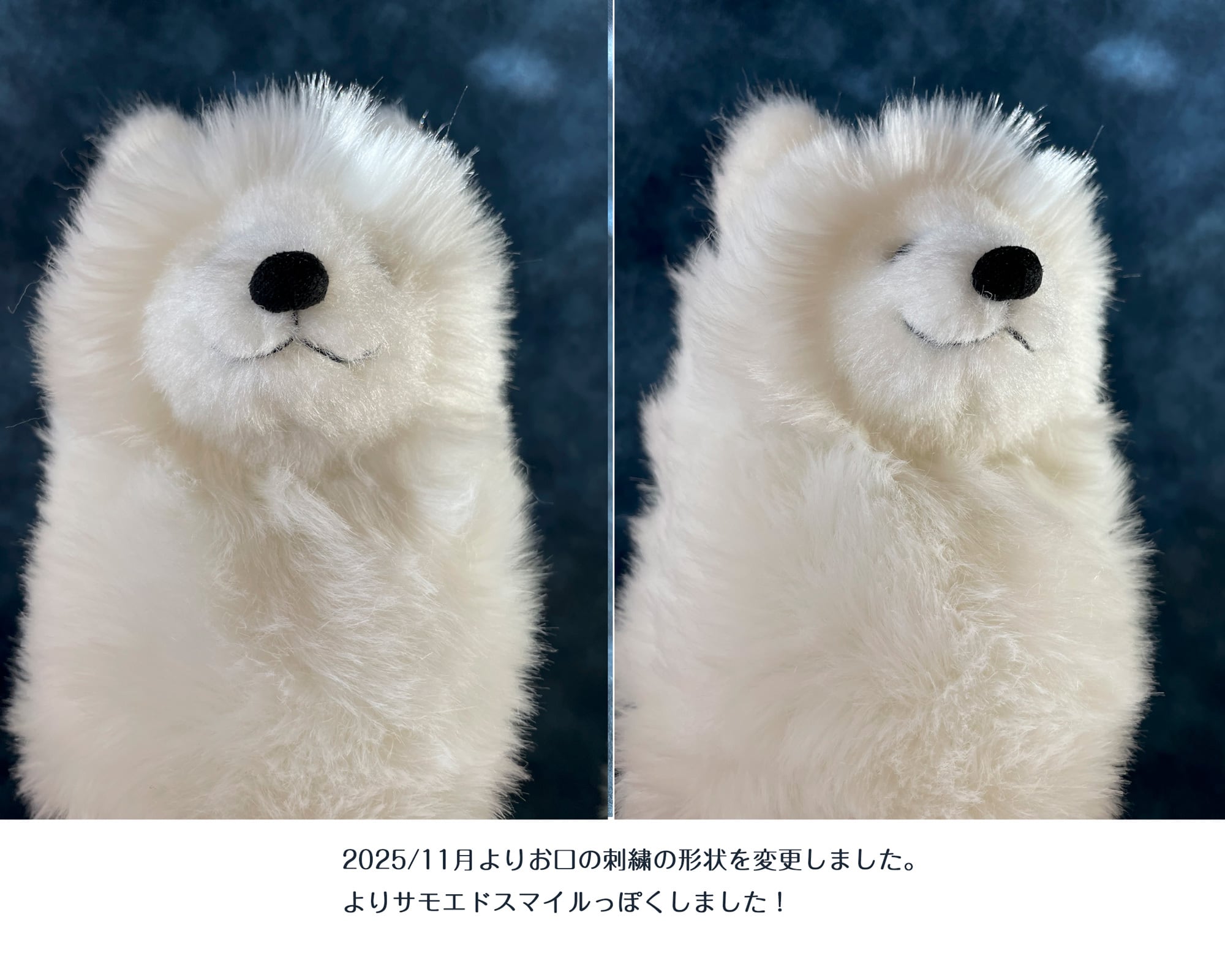 サモエドわんこ | もふいぬ