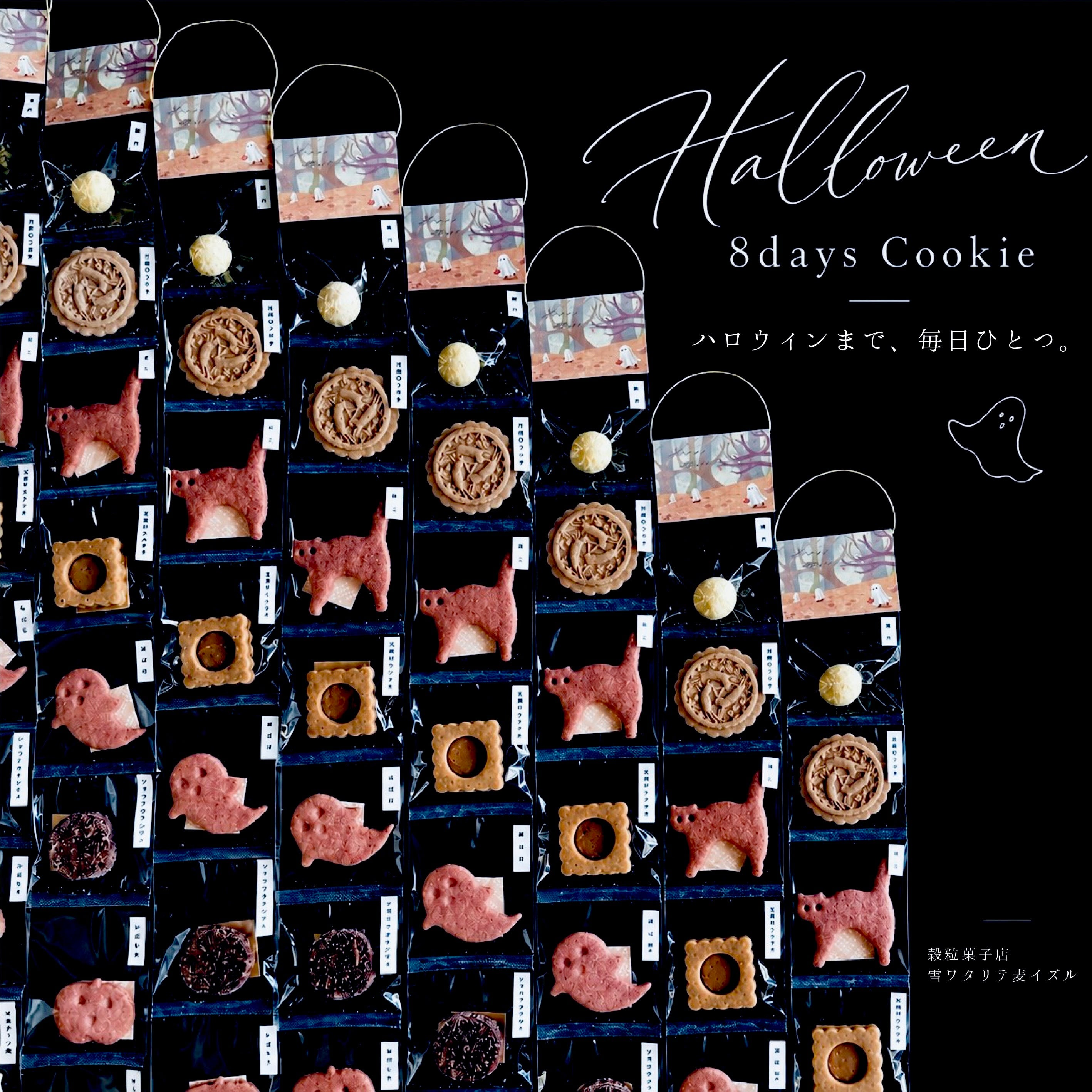 ハロウィン8days Cookie×2セット(送料無料)