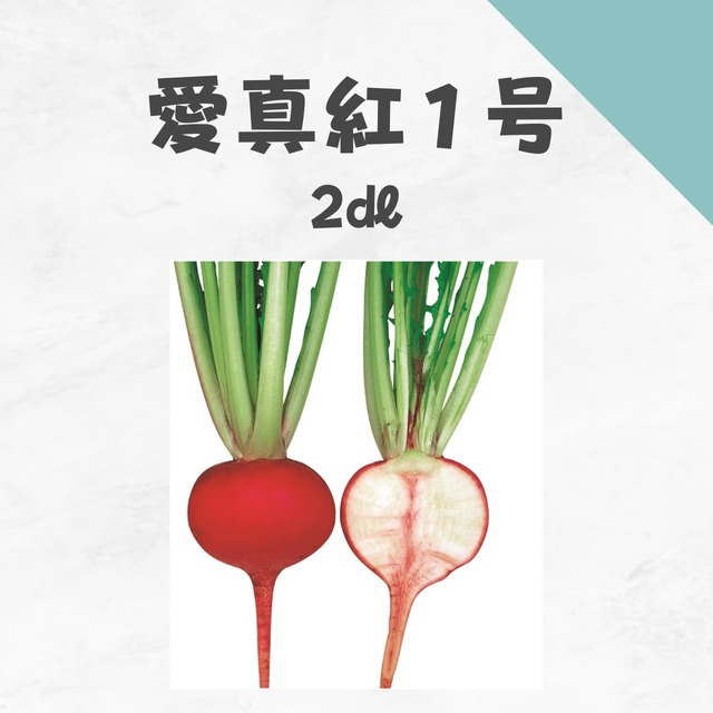 愛真紅１号　カブ種子・2dl