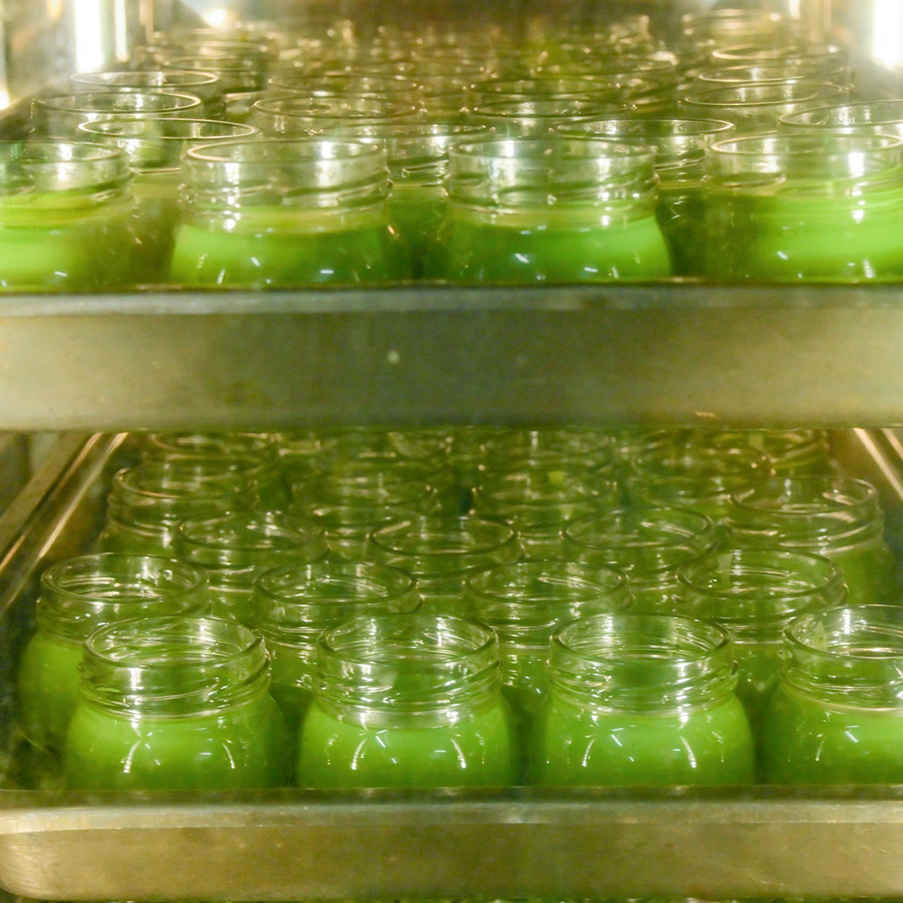 ■お歳暮・熨斗付き■口福餅6個入全種と口福極プリン6個（抹茶・ほうじ茶各3個） のセット/化粧箱入り・贈呈用紙袋付き※送料別