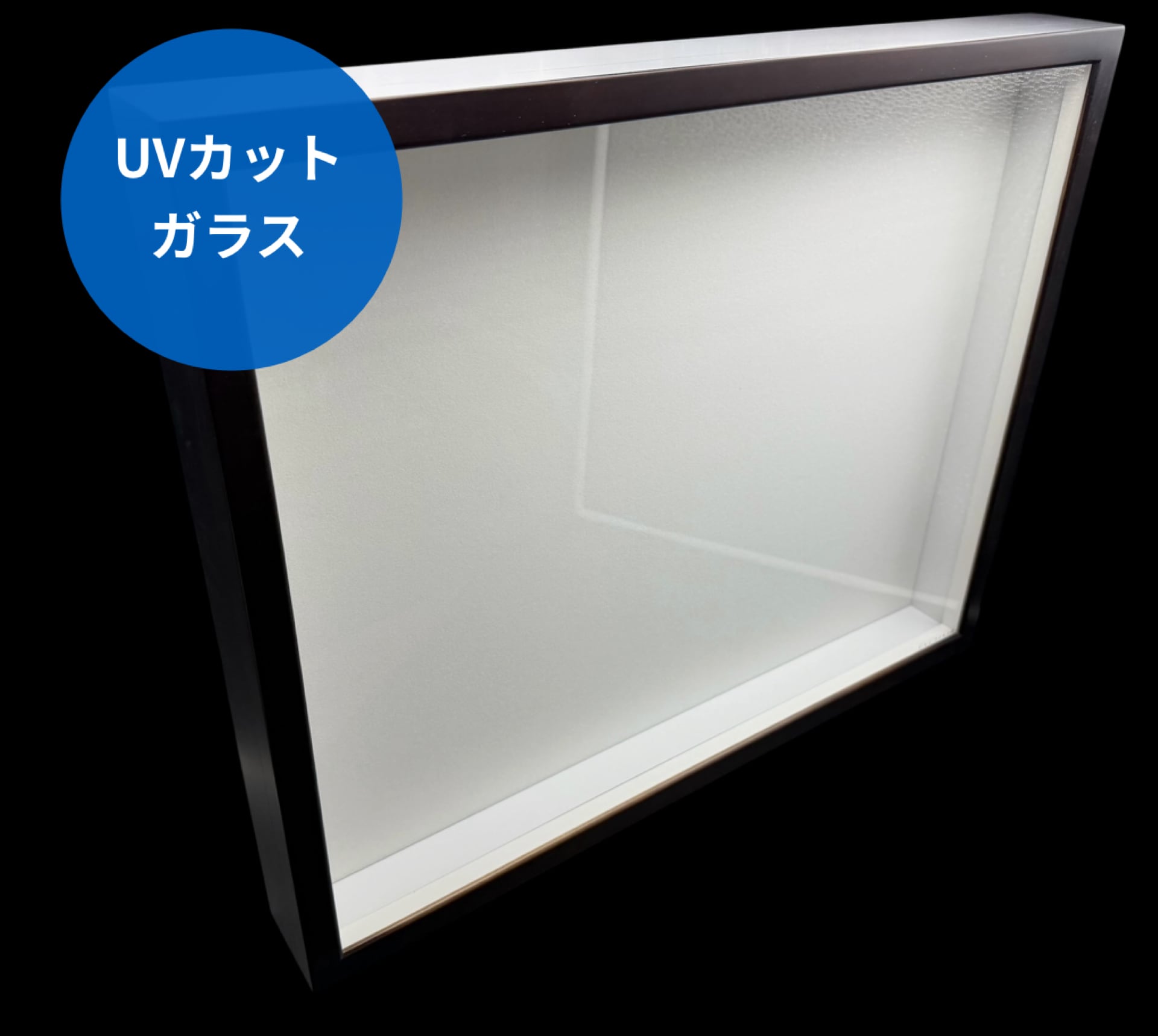 標本 | KPW BASE店