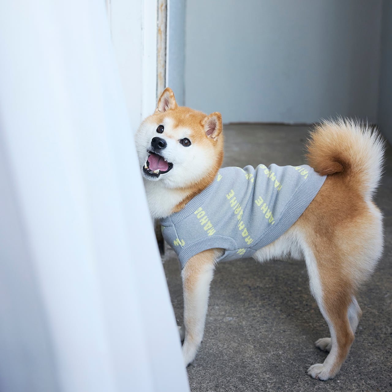 MNDRN LOGO KNIT（XS.S）マンダリンロゴニット | MANDARINE BROTHERS