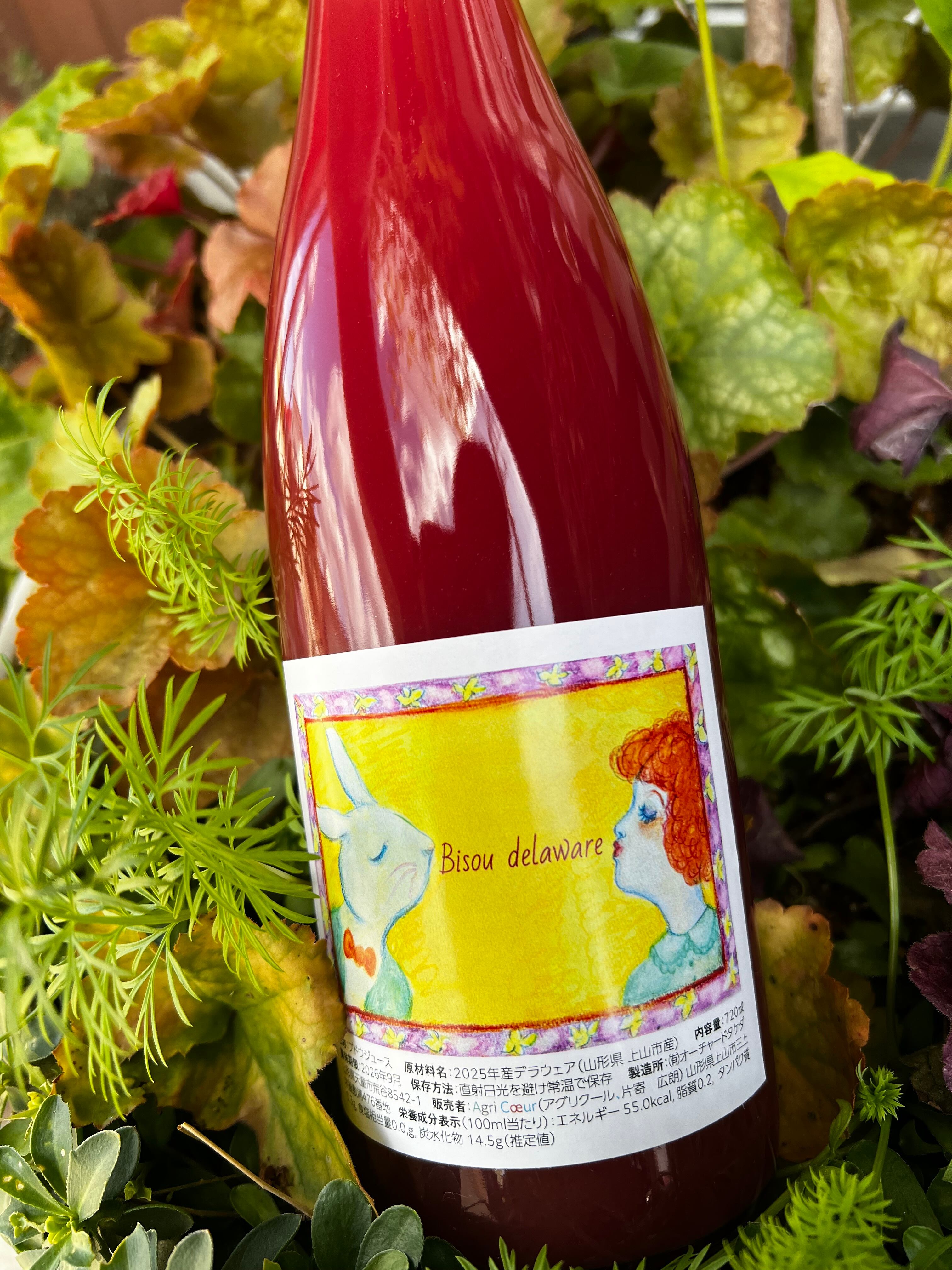 Agri-Coeur アグリクール 【2025 Bisou delaware】山形県上山産