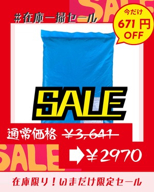 【アウトレット】ガイアス・レオ