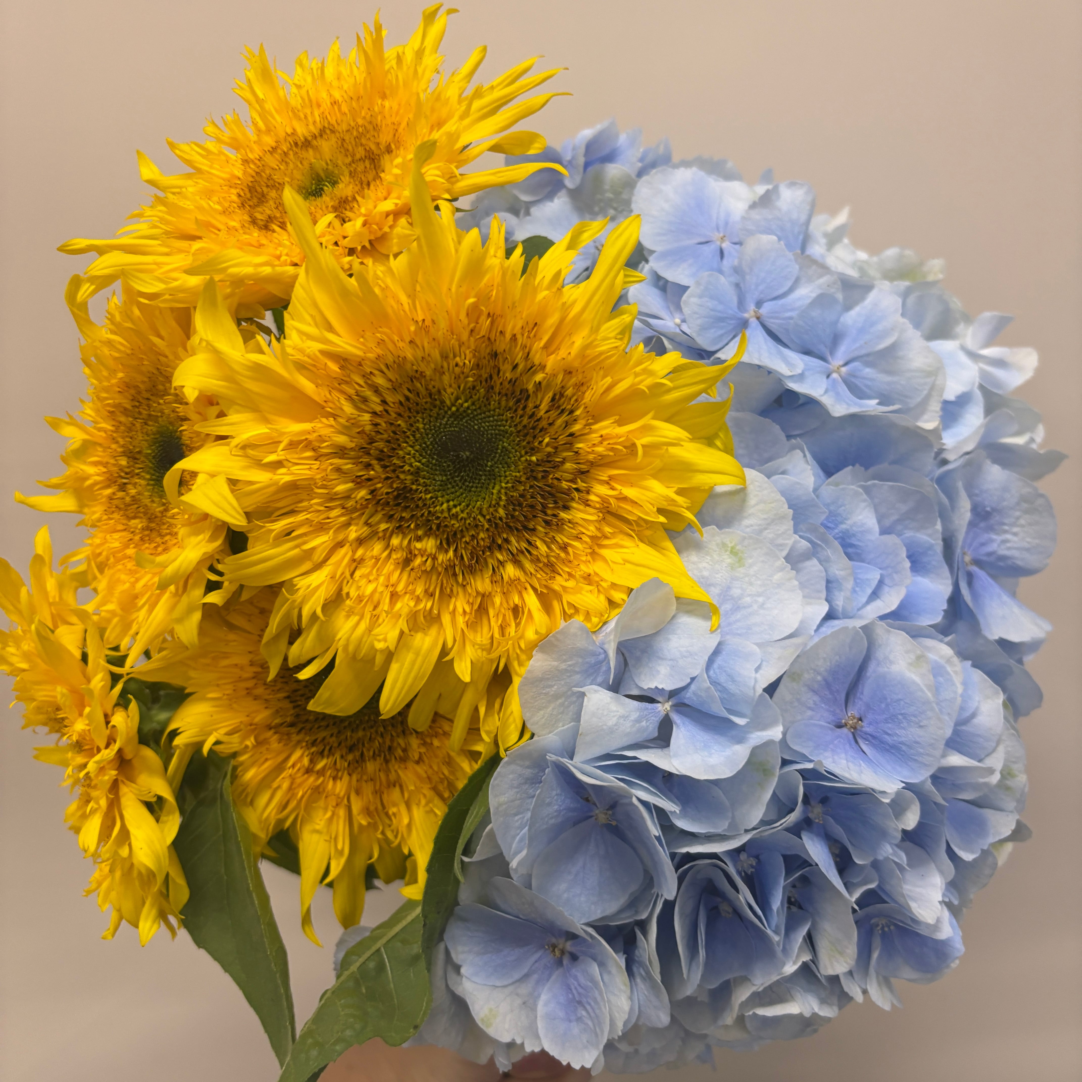 SALE | 新鮮お花問屋 Jp-Farmers.com