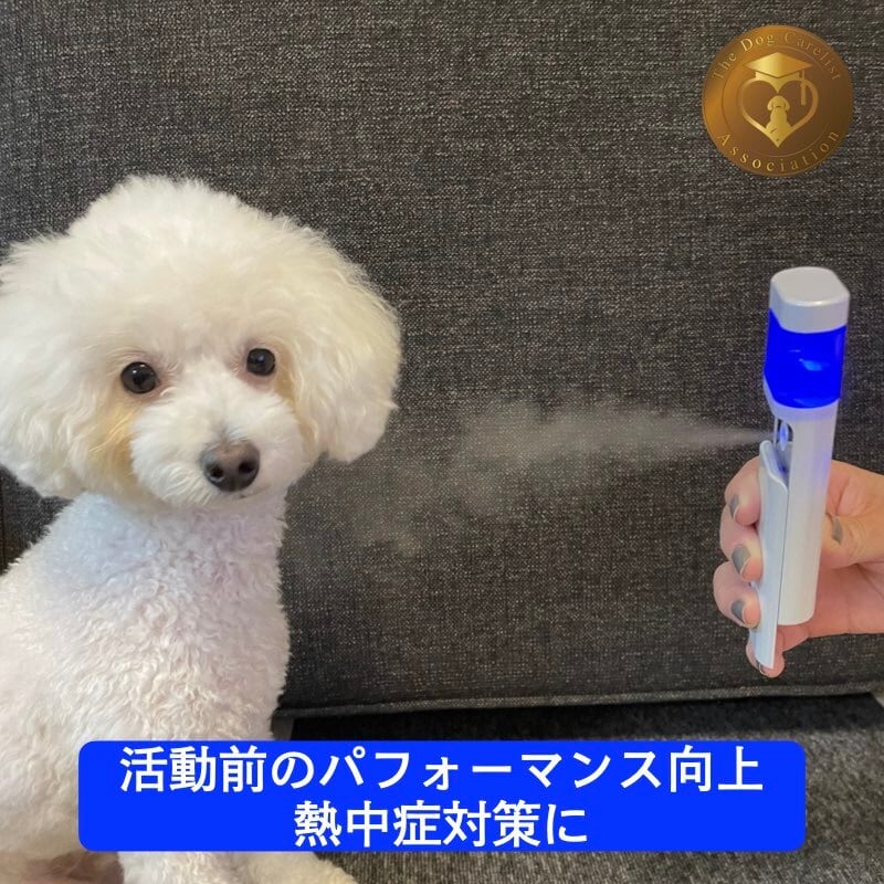 POWER MIST O4 専用酸素水レフィル【パワーミストO4／高濃度酸素水