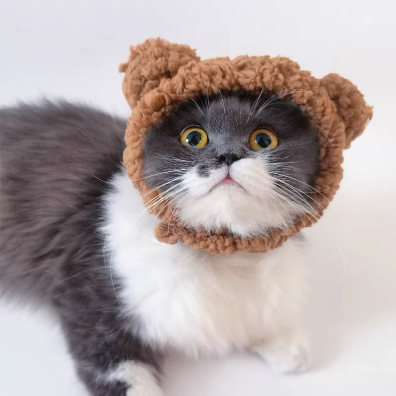 くま被り物 猫 帽子 コスプレ