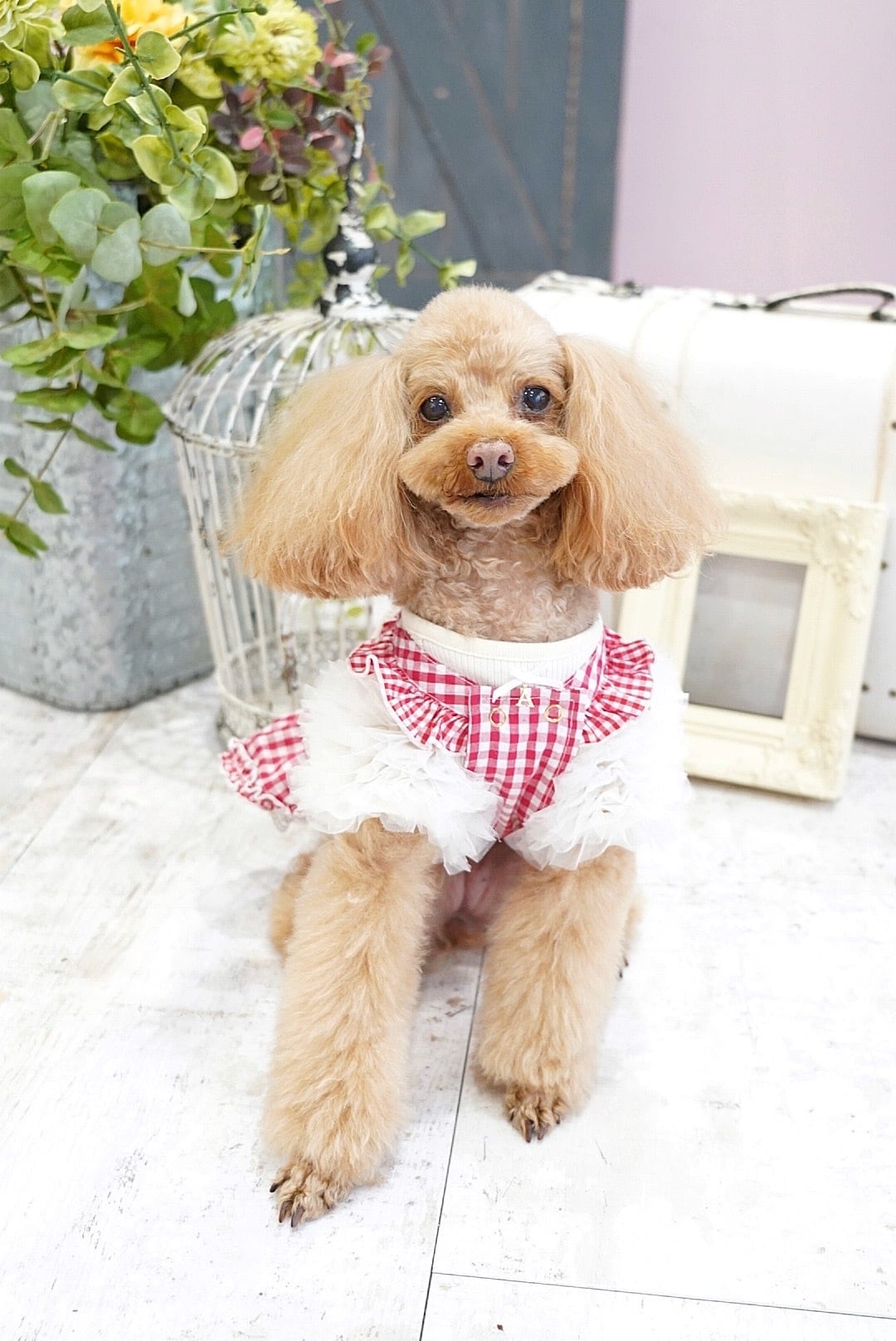 Jasmine..♡さん専用 水色 Jasmine(ジャスミン) XS-XL | hannah