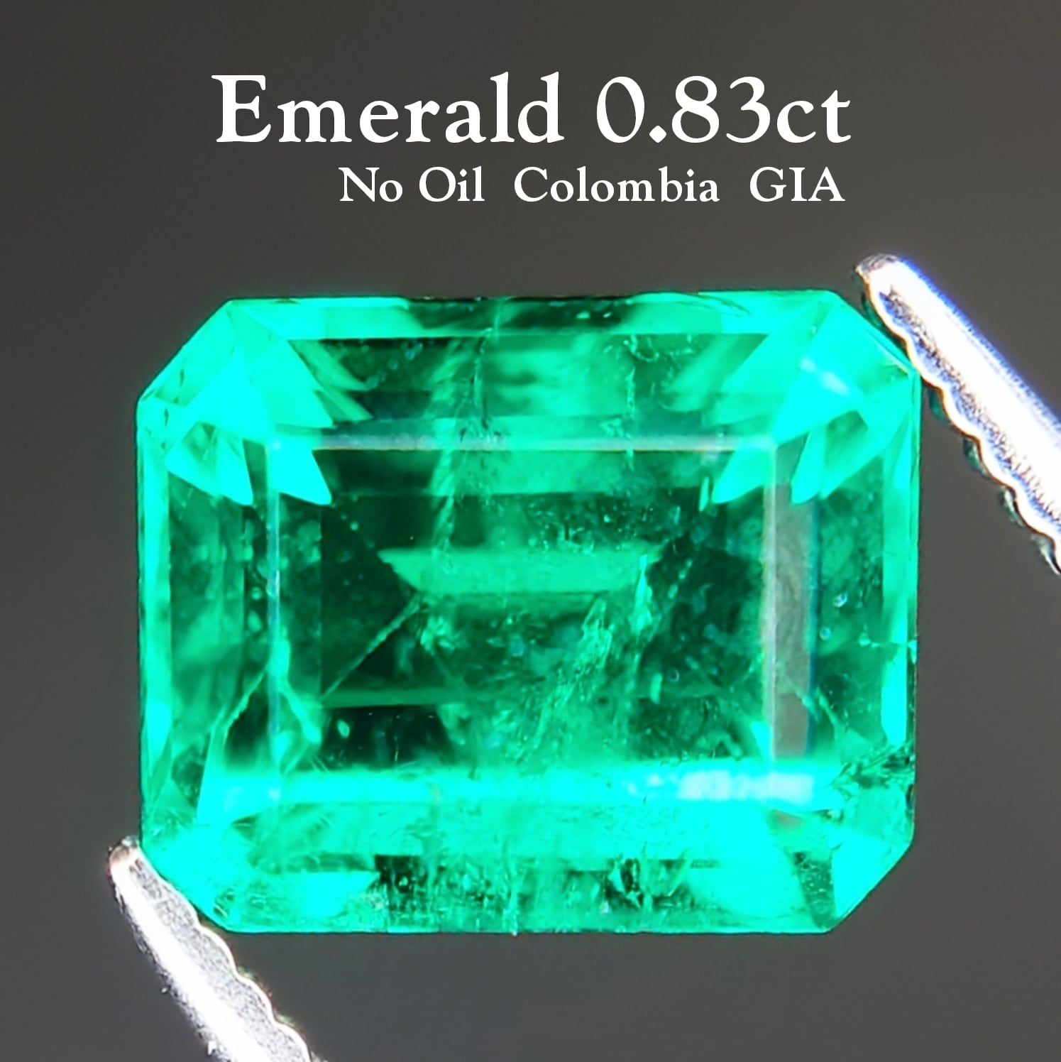 希少 Emerald 0.83ct No Oil Colombia GIA ルース☆ | wisteria777