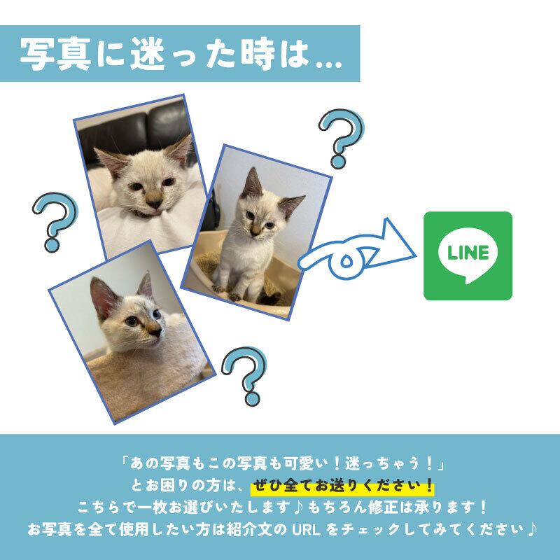 ペット 家族 オーダーメイド オリジナルグッズ おまかせ わがや 子供
