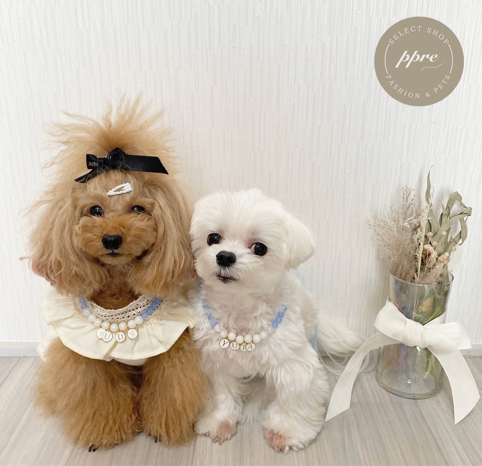 おなまえ パール ネックレス 予約 犬 猫 名入れ 首輪 ペット アクセサリー Select Shop Ppre 犬服 韓国 ファッションインテリアのお店 おなまえ パール ネックレス 予約 犬 猫 名入れ 首輪 ペット アクセサリー Select Shop Ppre 犬服 韓国 ファッションインテリアのお店