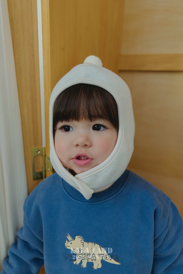 【予約】Winter Dino Suit