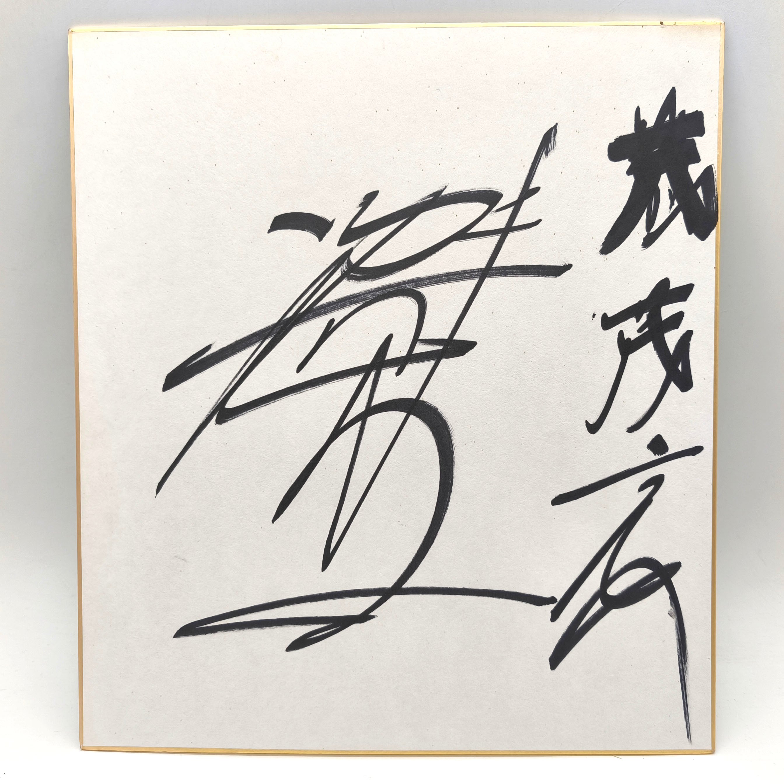 隆の里・大相撲・力士・サイン・手形・色紙・No.200321-004・梱包