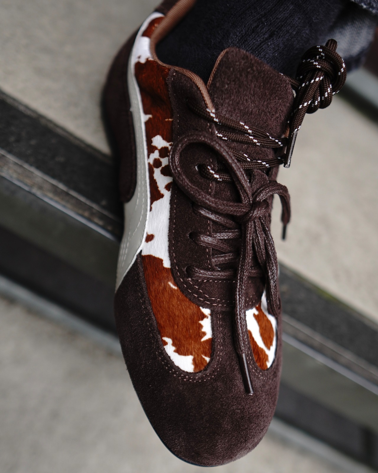 animal suede leather sneaker／cow brown