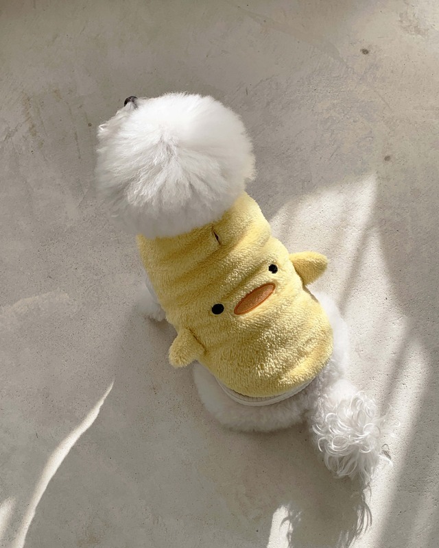 アニマルアウター (YELLOW DUCK)