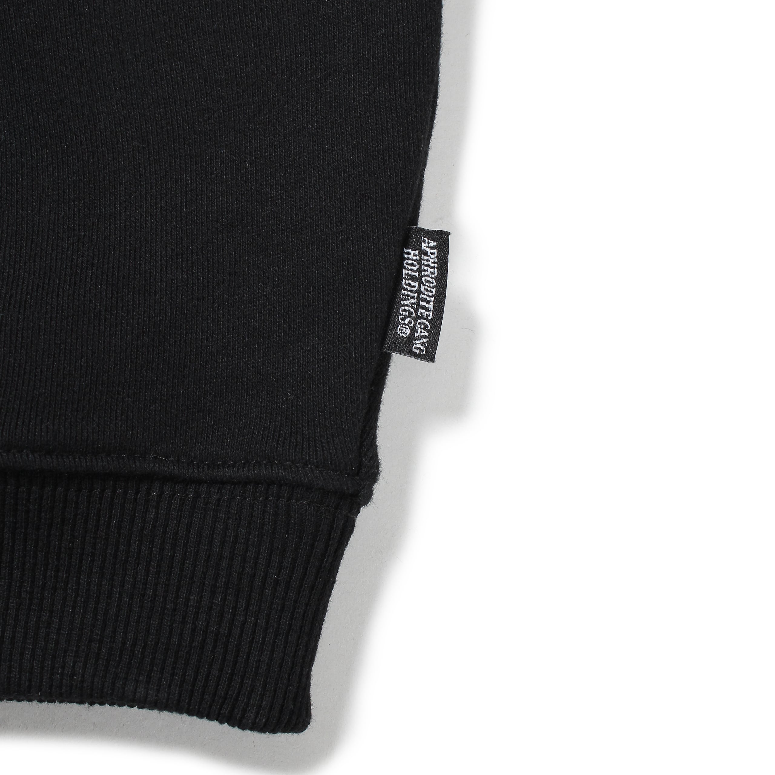 BUDSPOOL EMBROIDERY SWEAT SHIRT | APHRODITEGANG HOLDINGS