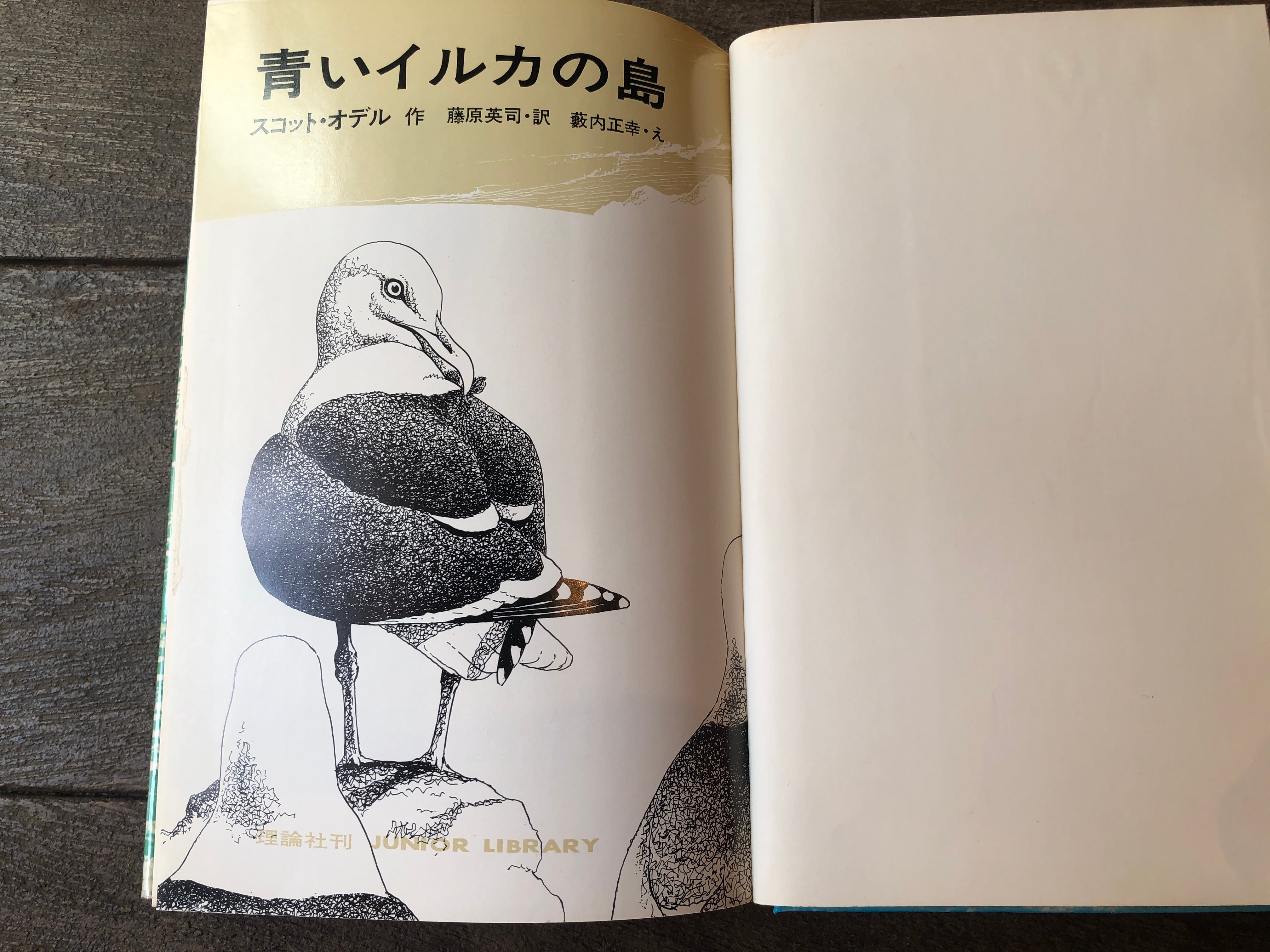 青いイルカの島 | maintent