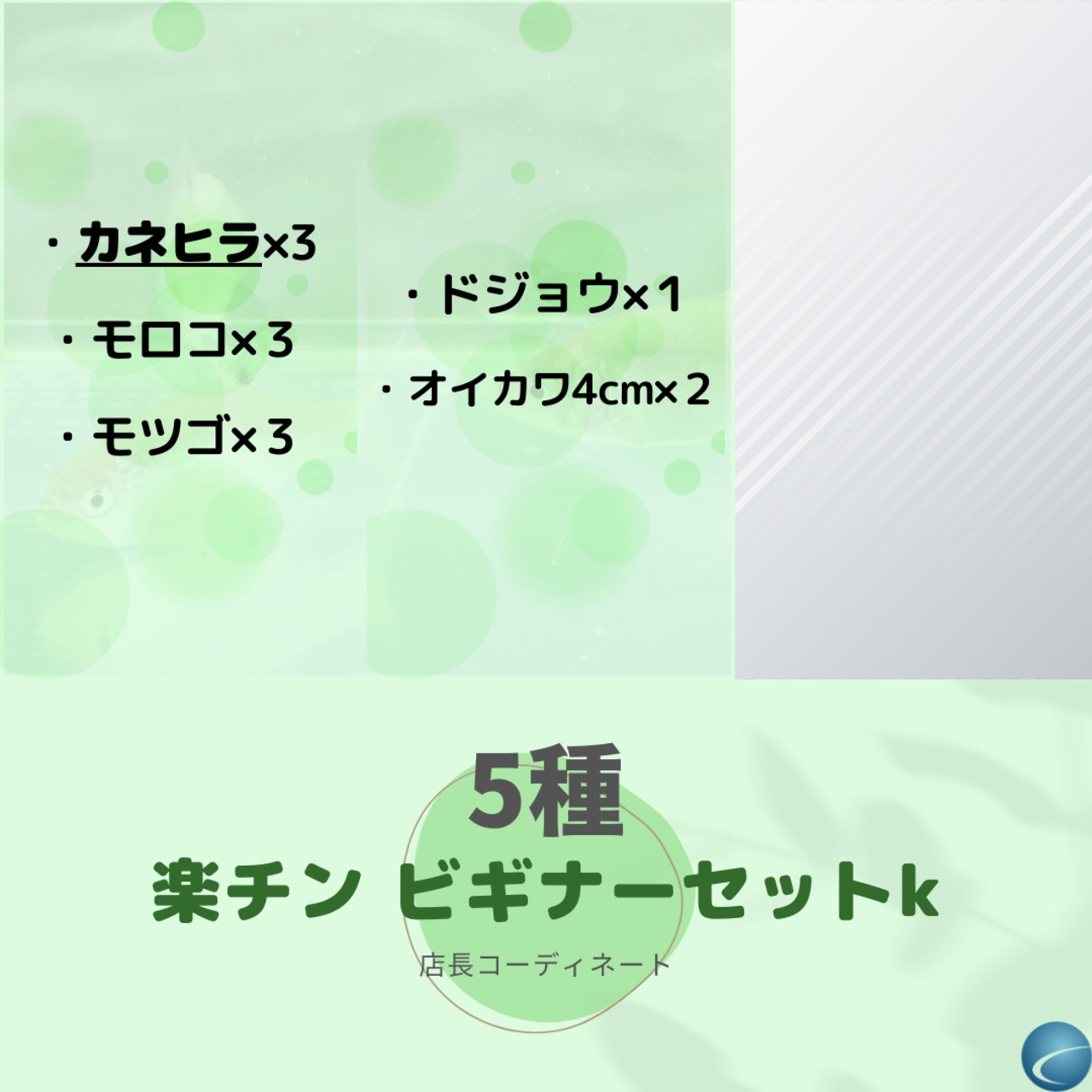 （川魚　5種）楽チン・ビギナーセットk（カネヒラ）【生体】
