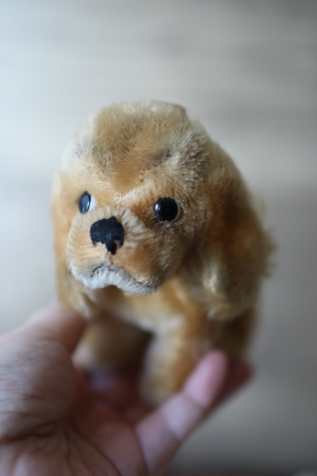 ヴィンテージ シュタイフ 犬 コッカースパニエル Revue Susi 12㎝