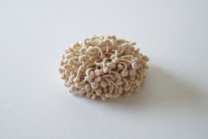 houshi 04 / ecru / brooch