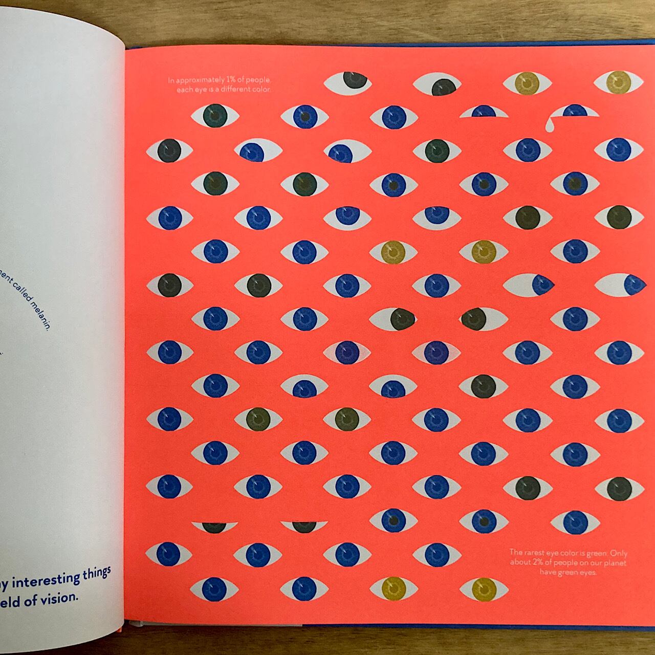 Sight Glimmer, Glow, Spark, Flash! 素敵な洋書の絵本のお店 Read Leaf Books