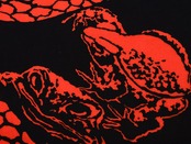 手ぬぐい　児雷也　赤　[D75]