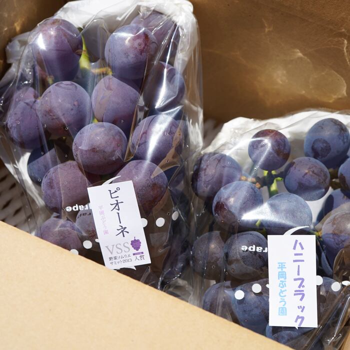 偽干葡萄 潮風®ぶどう ピオーネ＆ハニーブラックと干しぶどうのセット | すくも