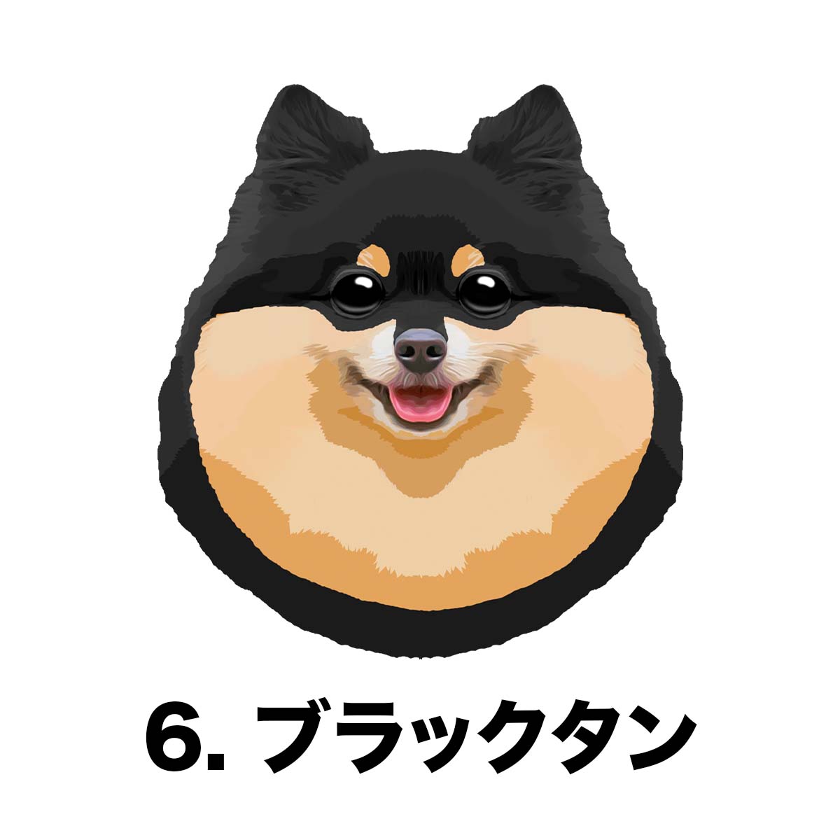 ポメラニアン 毛色6色 】 タオルハンカチ ピンク＆ブルー2枚セット
