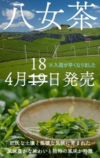 〈4月18日 発売〉　2024　新茶　八女茶　80g