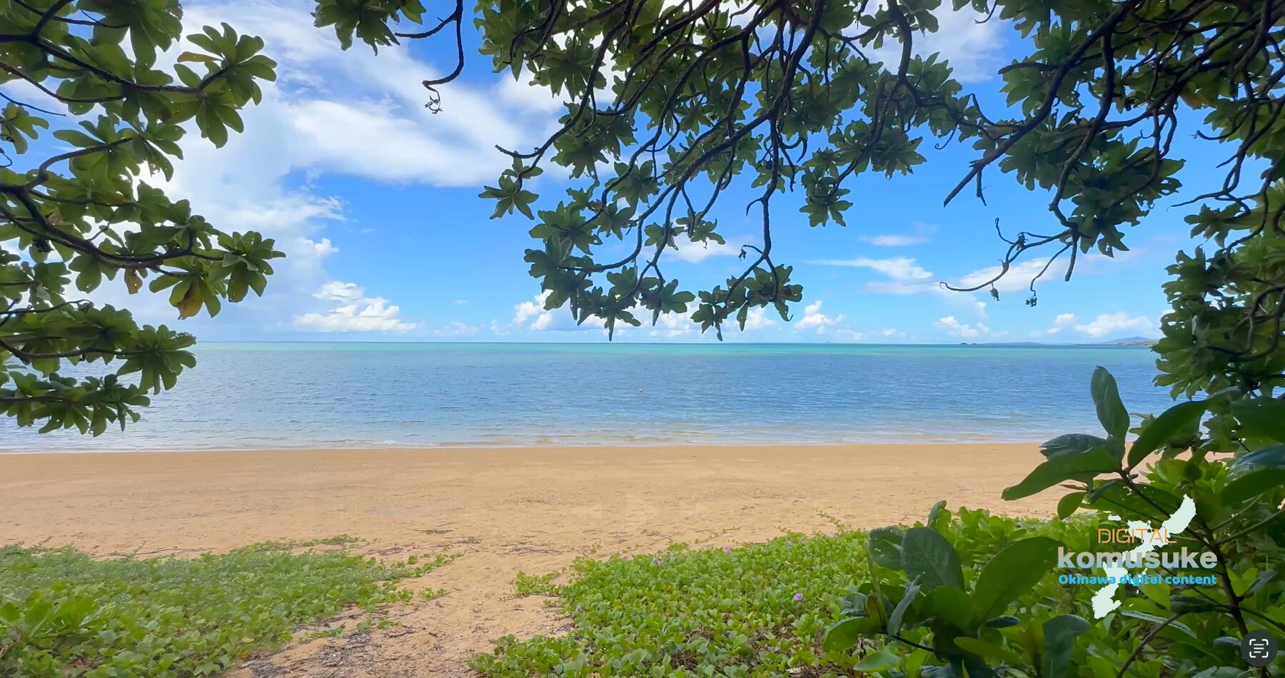 ◎恩納村谷茶-002(フルHD)30秒