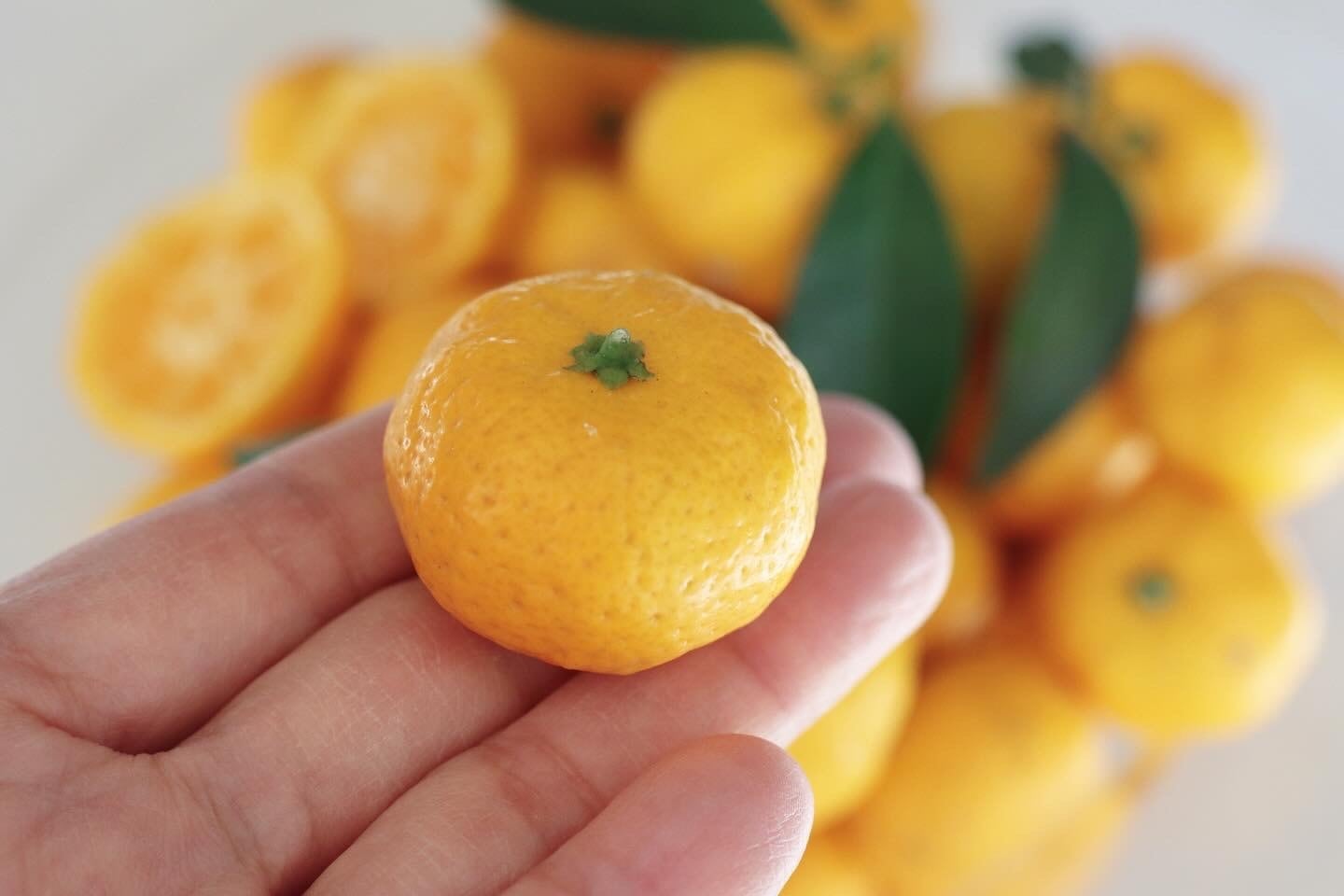 大和橘果実1kg（農薬不使用） | なら橘プロジェクト推進協議会