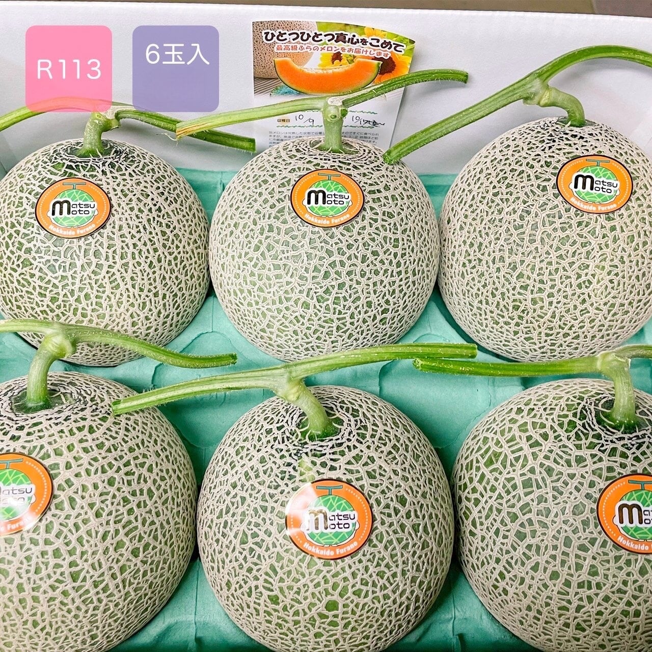 最高級富良野メロン R113 秀品 中玉(1.34~1.6キロ)6玉入(8キロ入