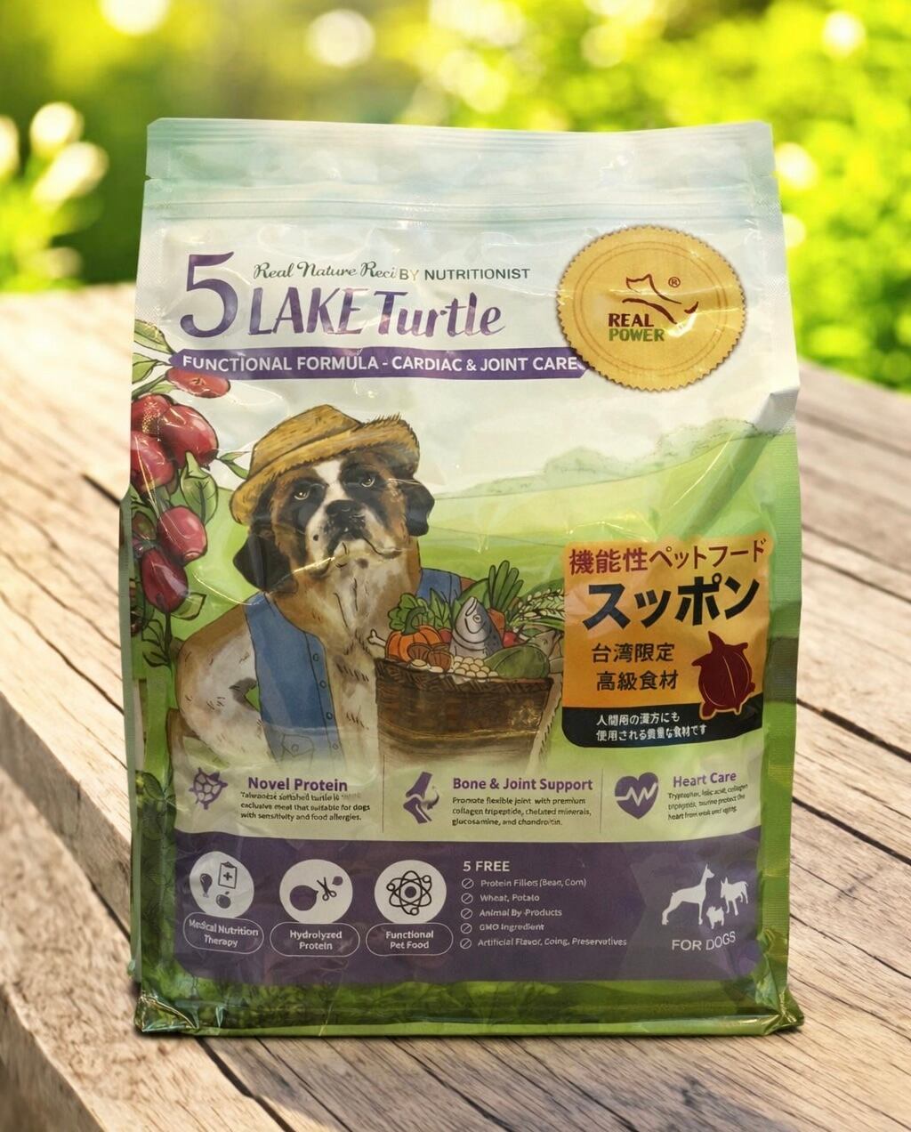 リアルネイチャーレイクタートル 2kg | ひかりの丘