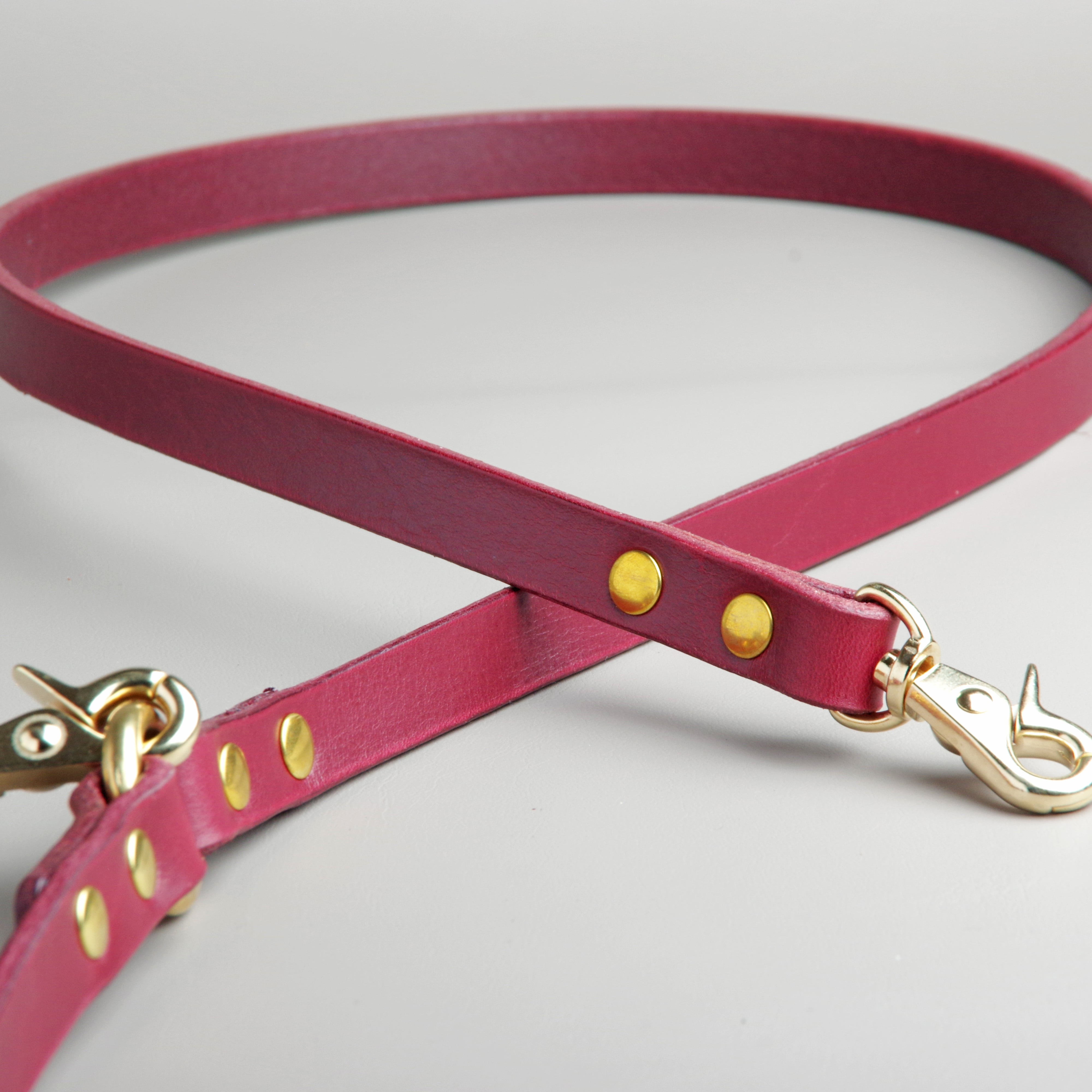 本ヌメ革のカフェリード | 革と真鍮 犬の首輪の専門店