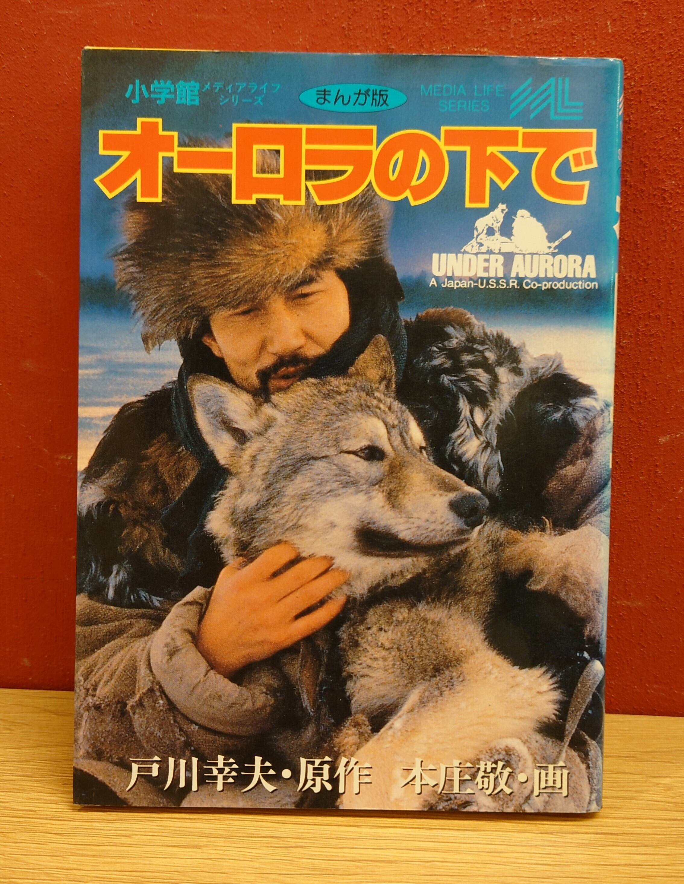 オーロラの下で（まんが版/小学館メディアライフシリーズ