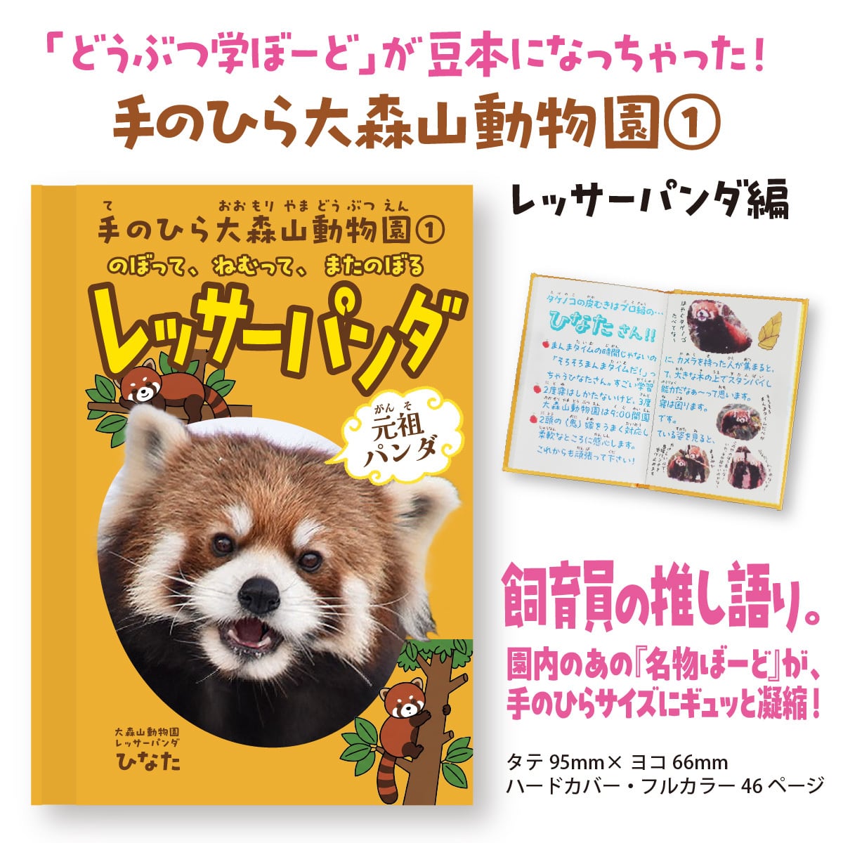 東武動物公園★レッサーパンダ☆記念メダル★茶平工業 手のひら大森山動物園①～レッサーパンダ編～ | A-mono Online