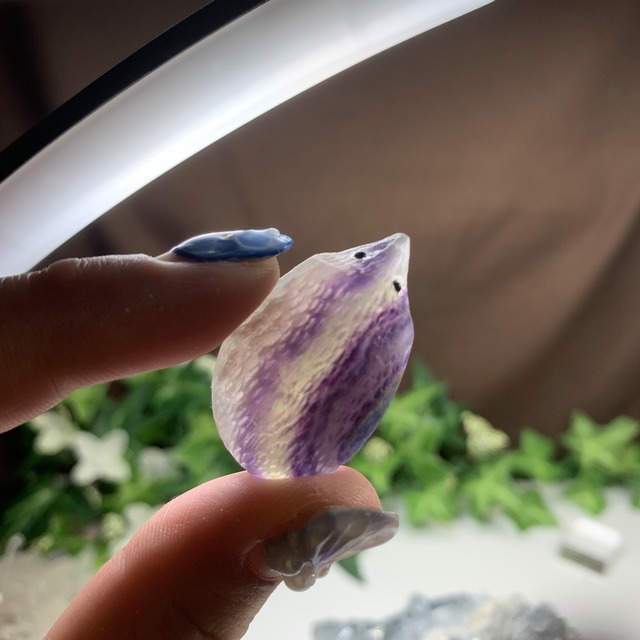 5.空色セレスタイトに住み着いているフローライトハリネズミさん