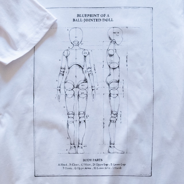 Tシャツ: 「Blueprint of a ball-jointed doll」白