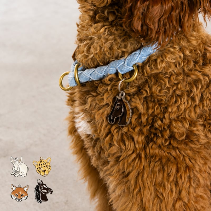【Hoippo MyFamily】PET ID TAG 名入れ WILD - 4種類 - 迷子札