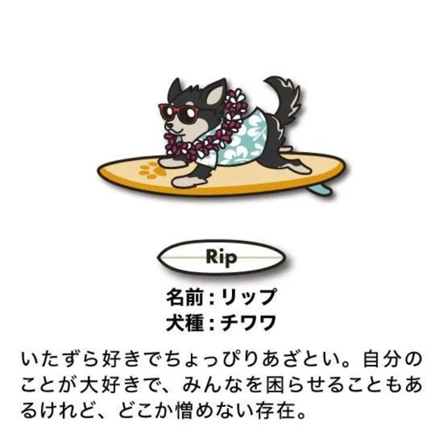 SURF DOGS アクリルキーホルダー / Designed by TAMO