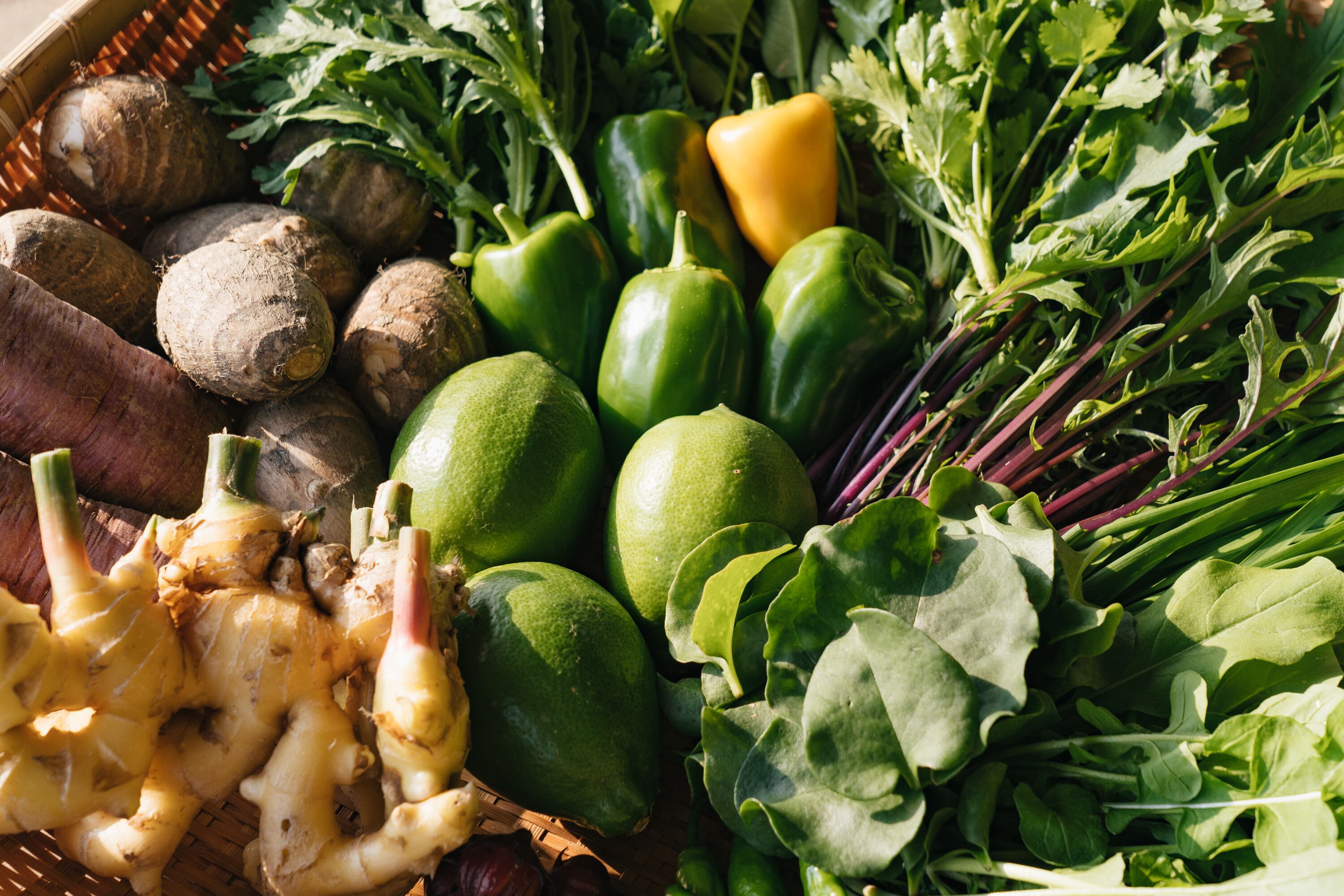 旬の野菜8種類セット