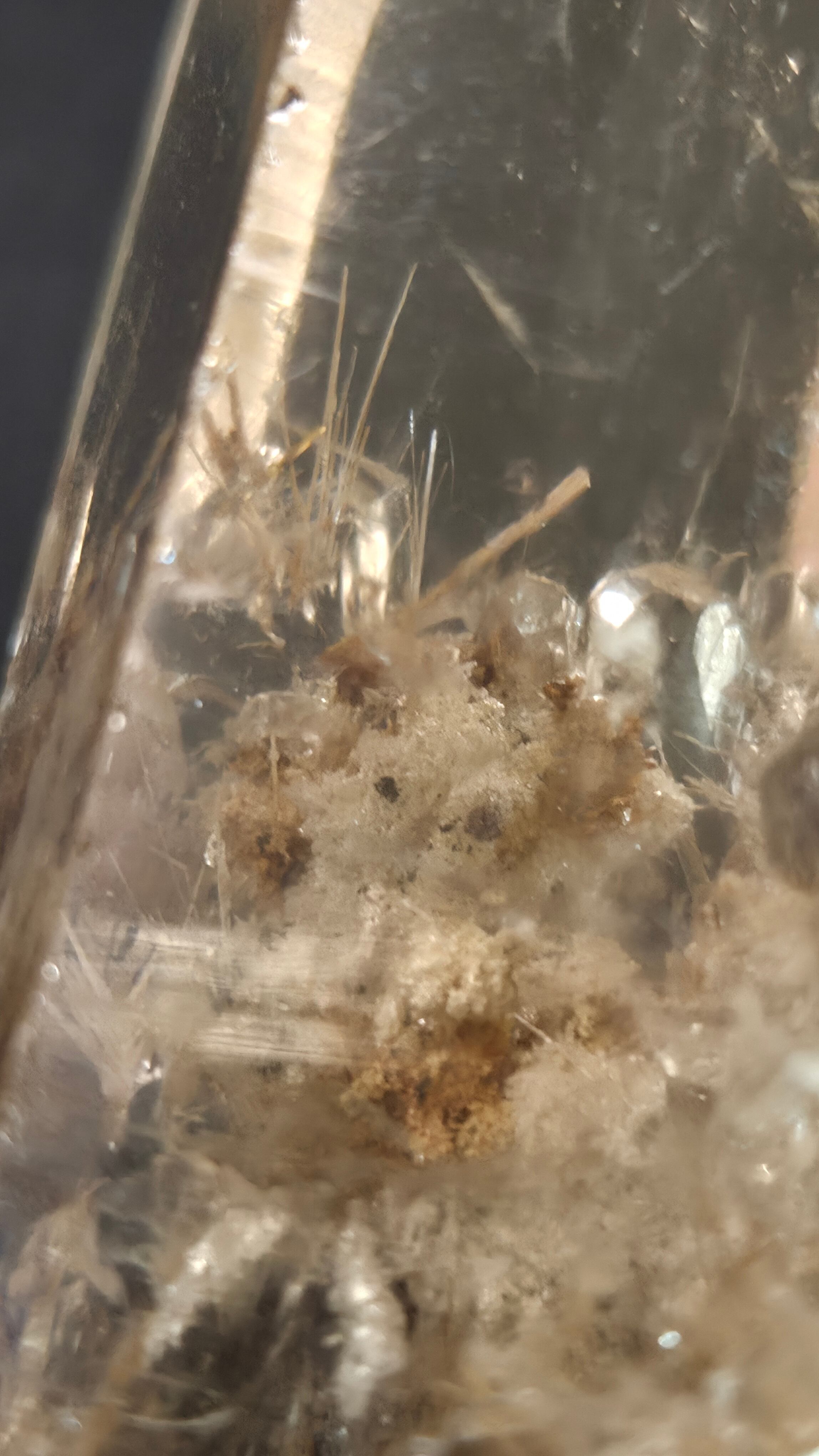 最高品質]ホワイトガーデンルチル | LUCE.｜クォーツ系原石専門店