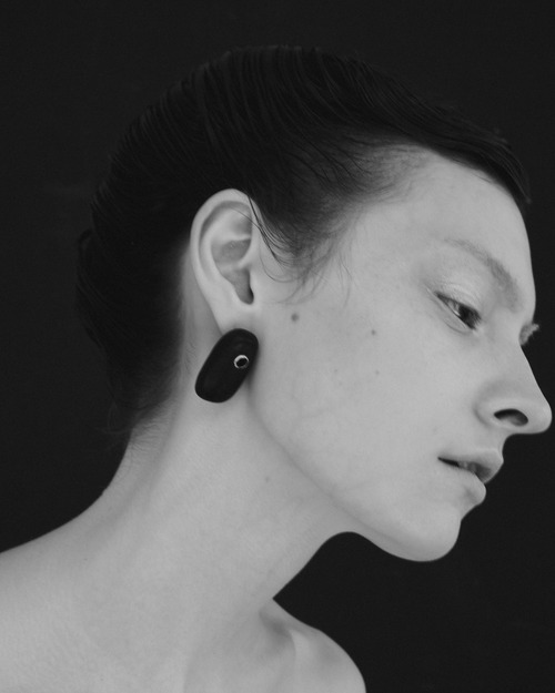 Wood stone earrings